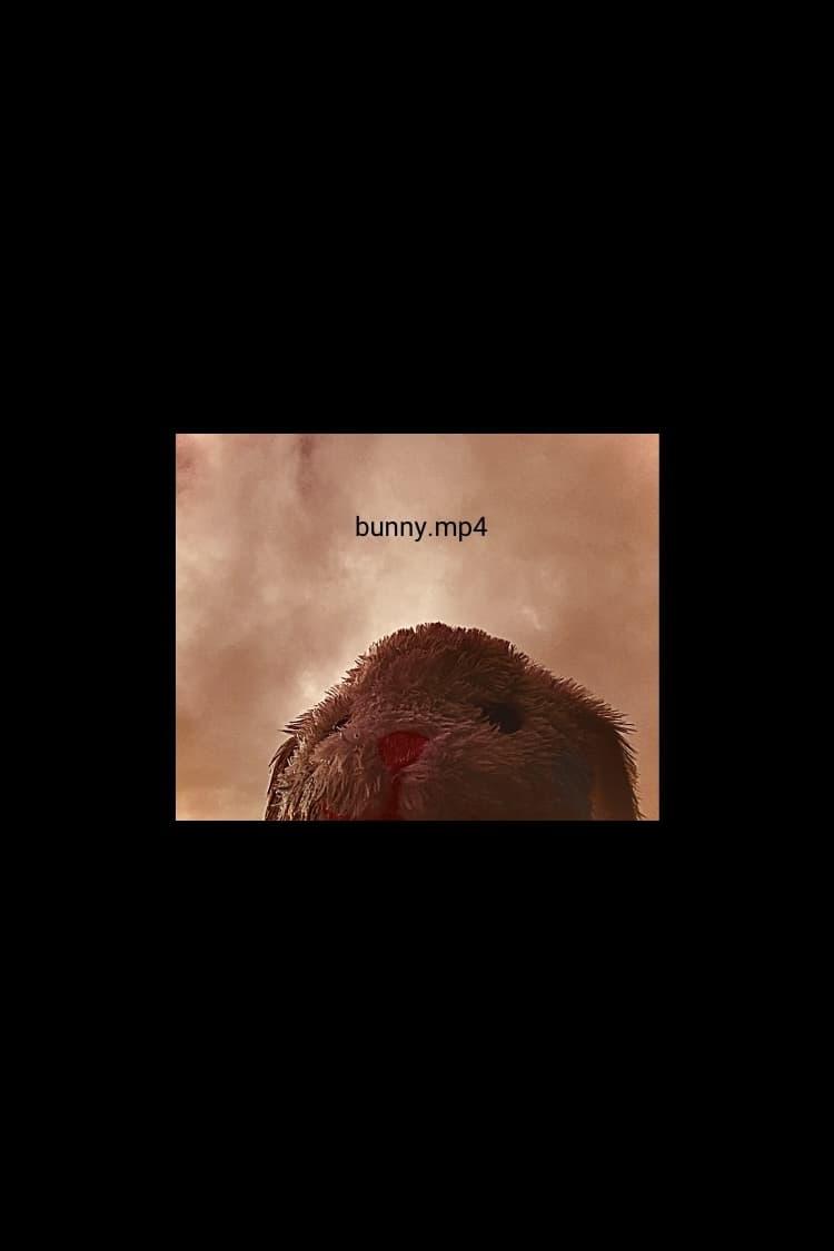 bunny.mp4 poster