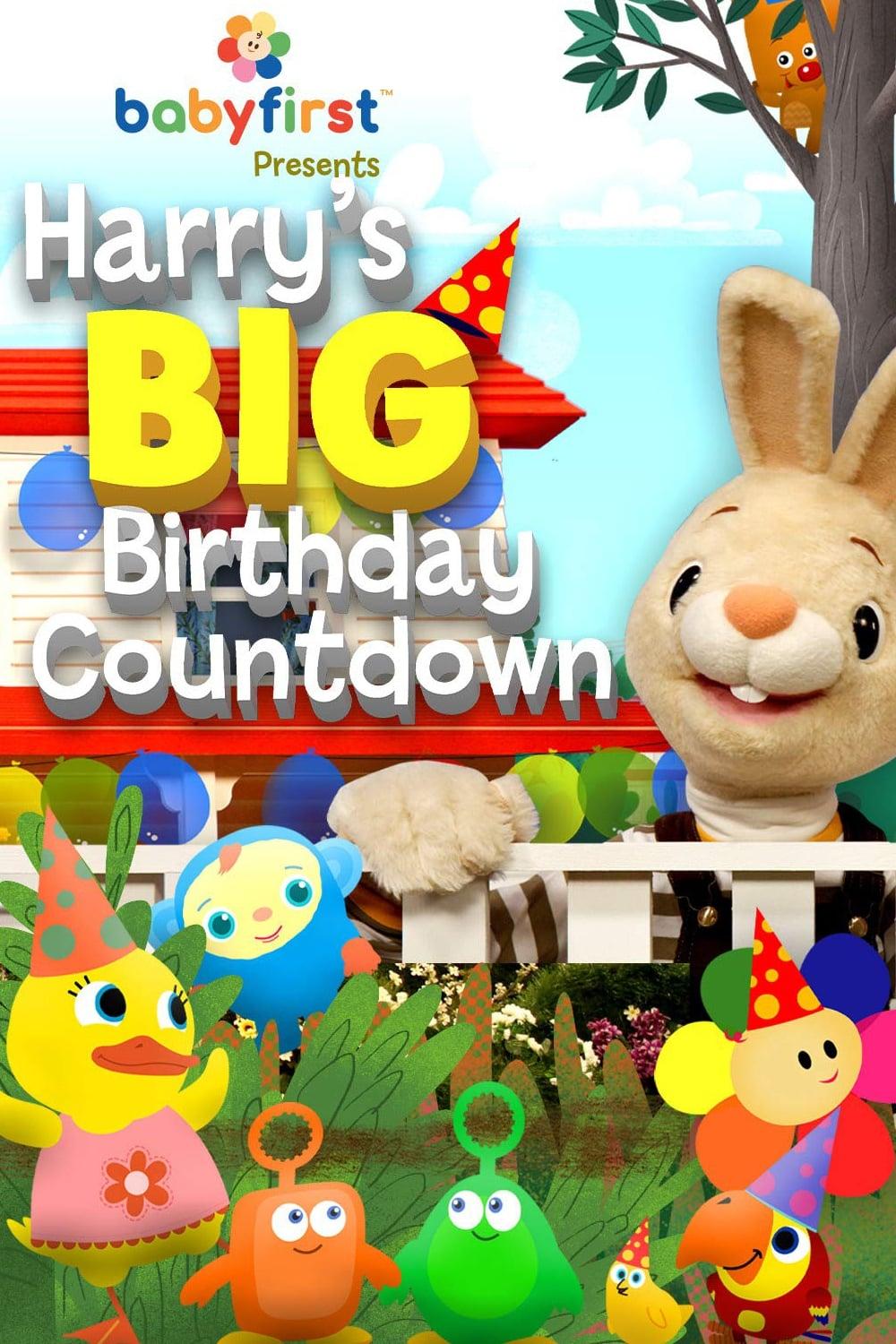 Harry's Big Birthday Countdown poster