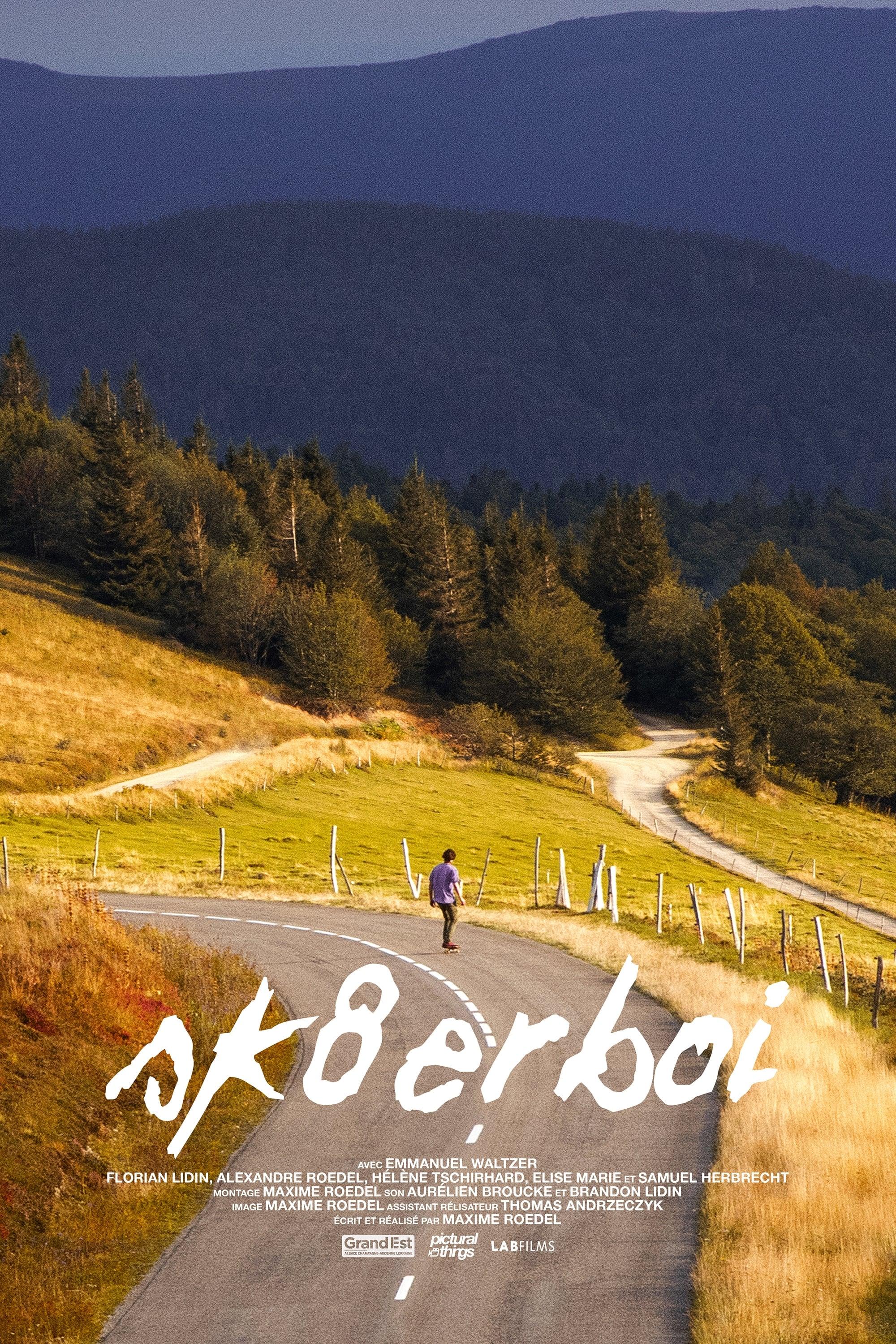Sk8erboi poster