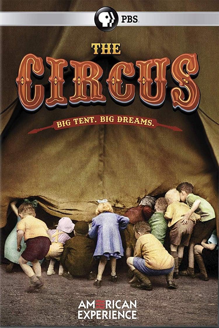 The Circus poster