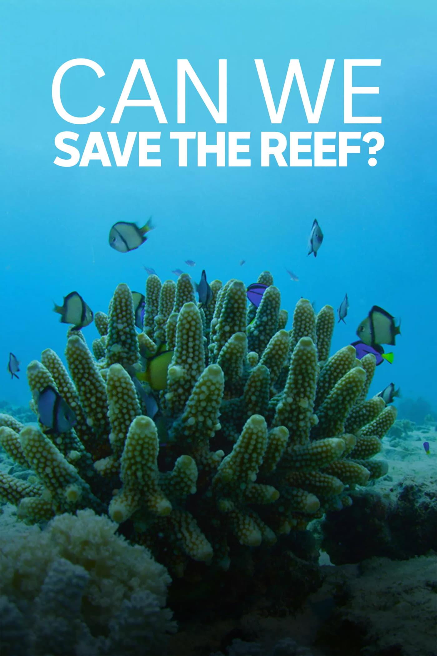 Can We Save the Reef? poster