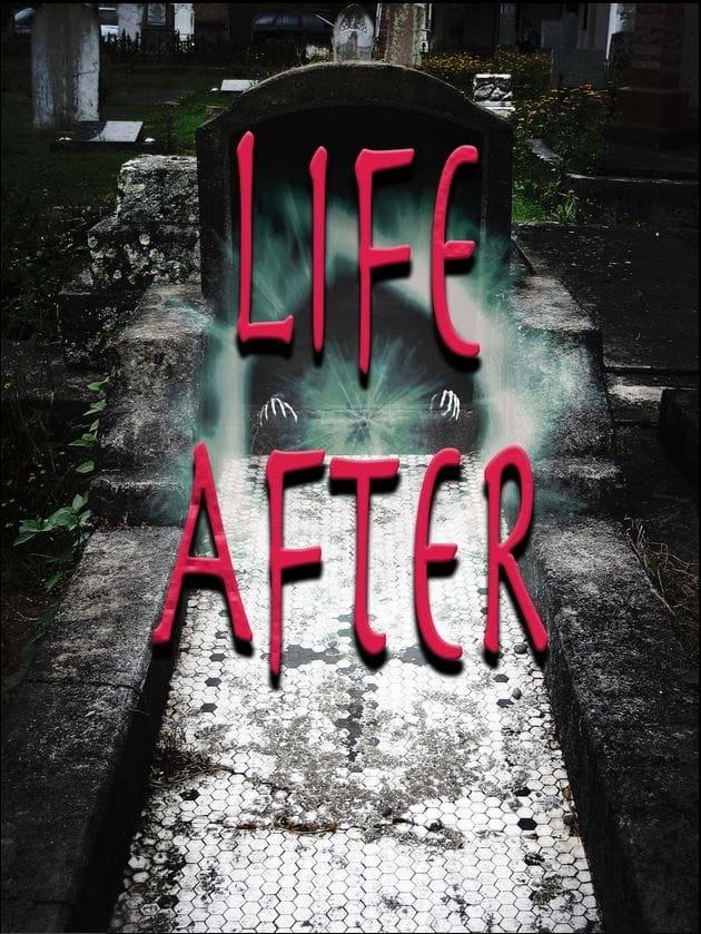 Life After poster