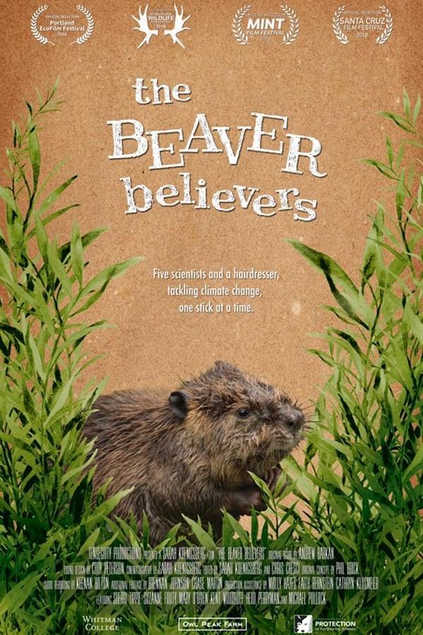 The Beaver Believers poster