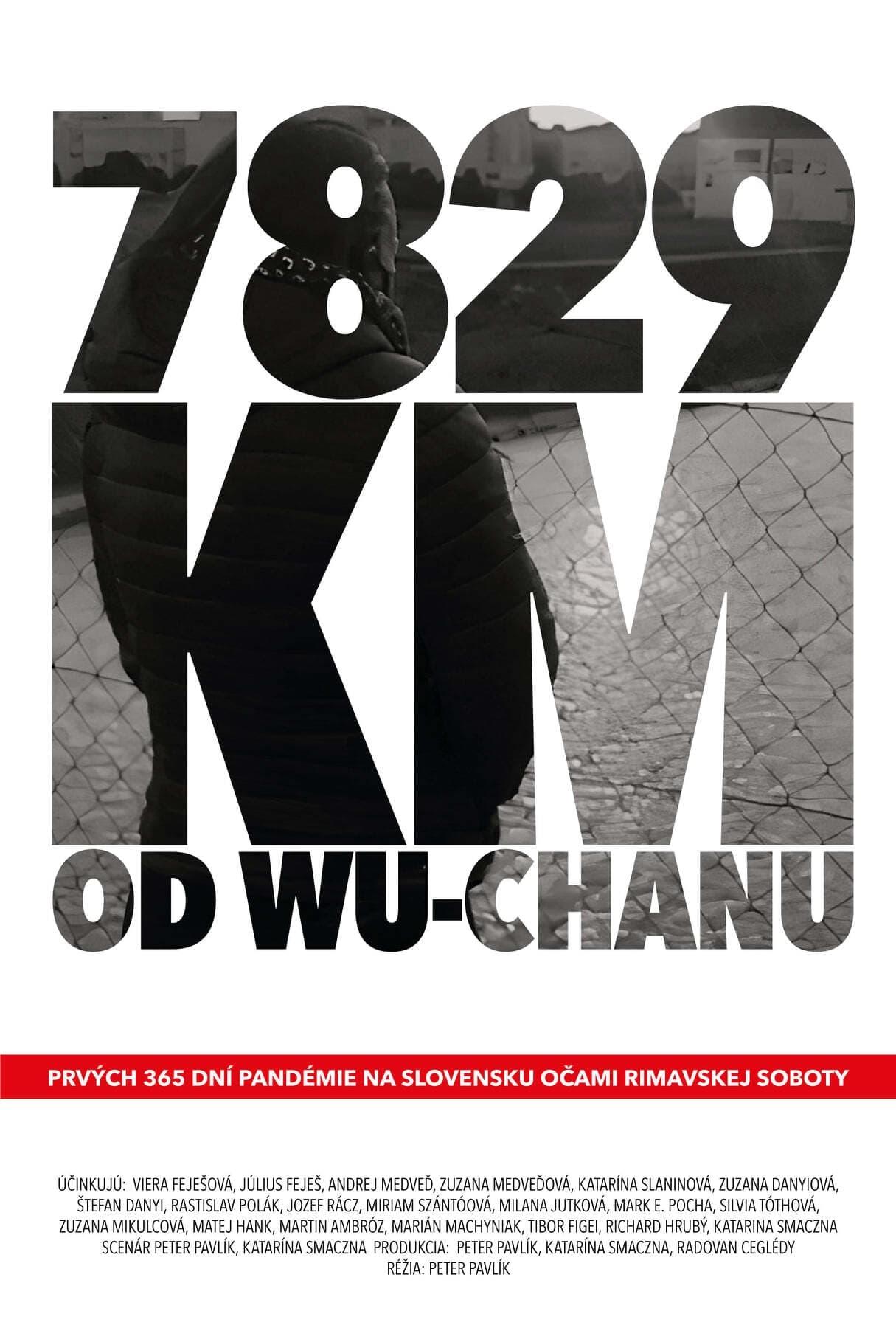 7829 km od Wu-chanu poster