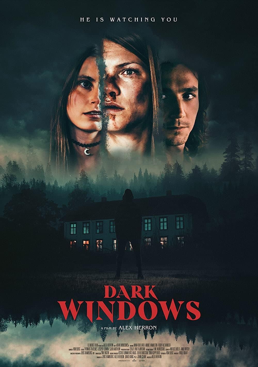 Dark Windows poster