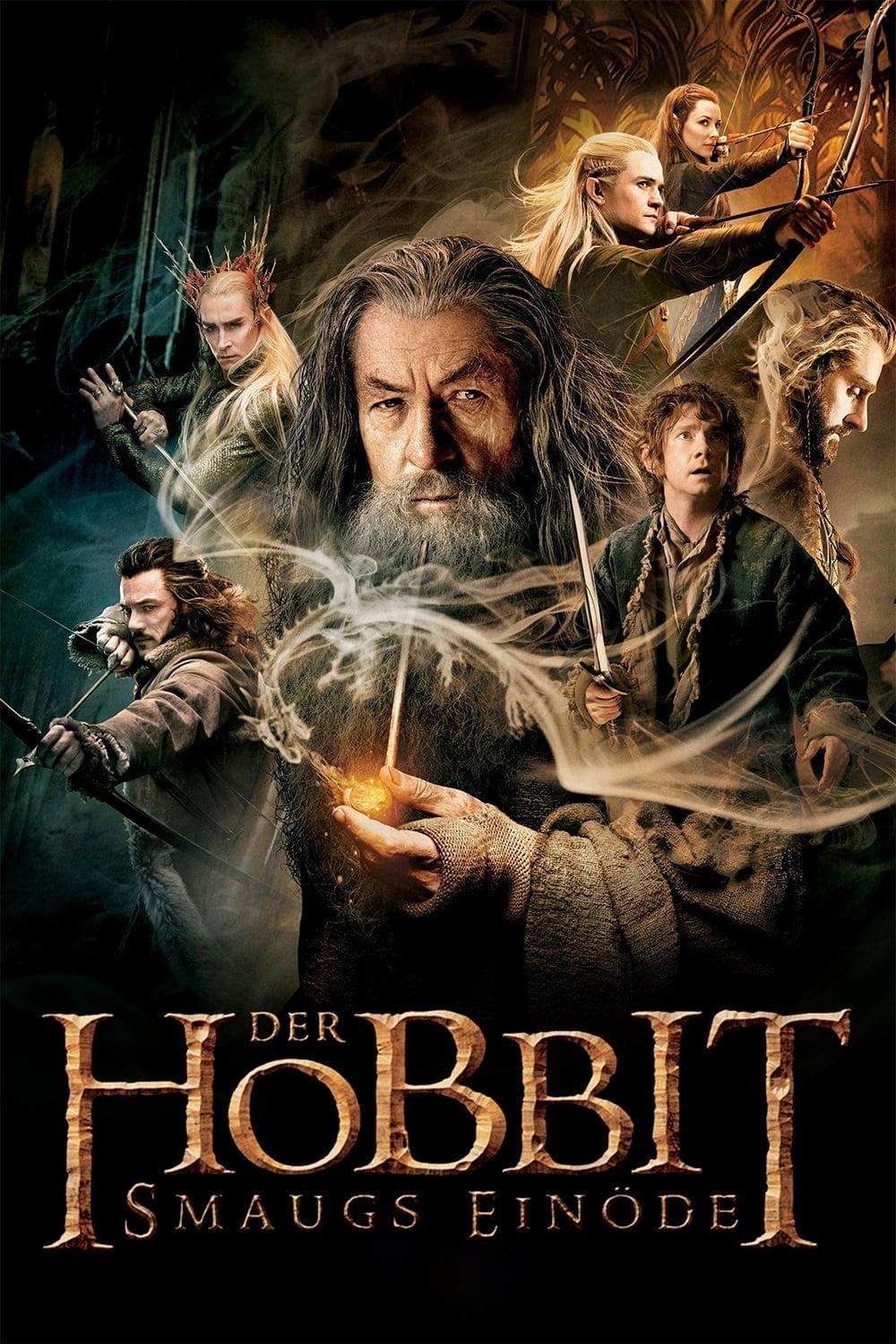 Der Hobbit - Smaugs Einöde poster