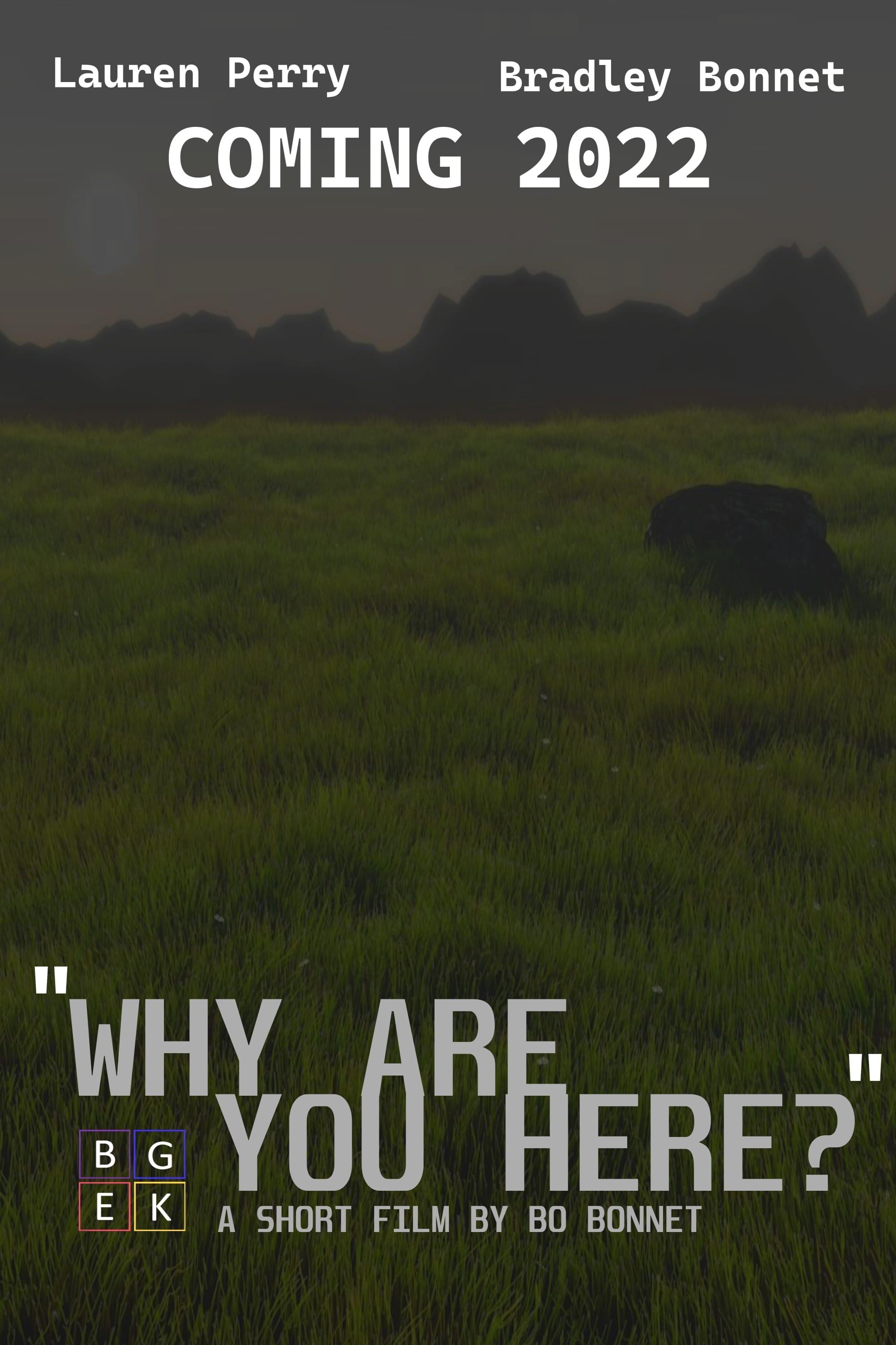 "Why Are You Here?" poster
