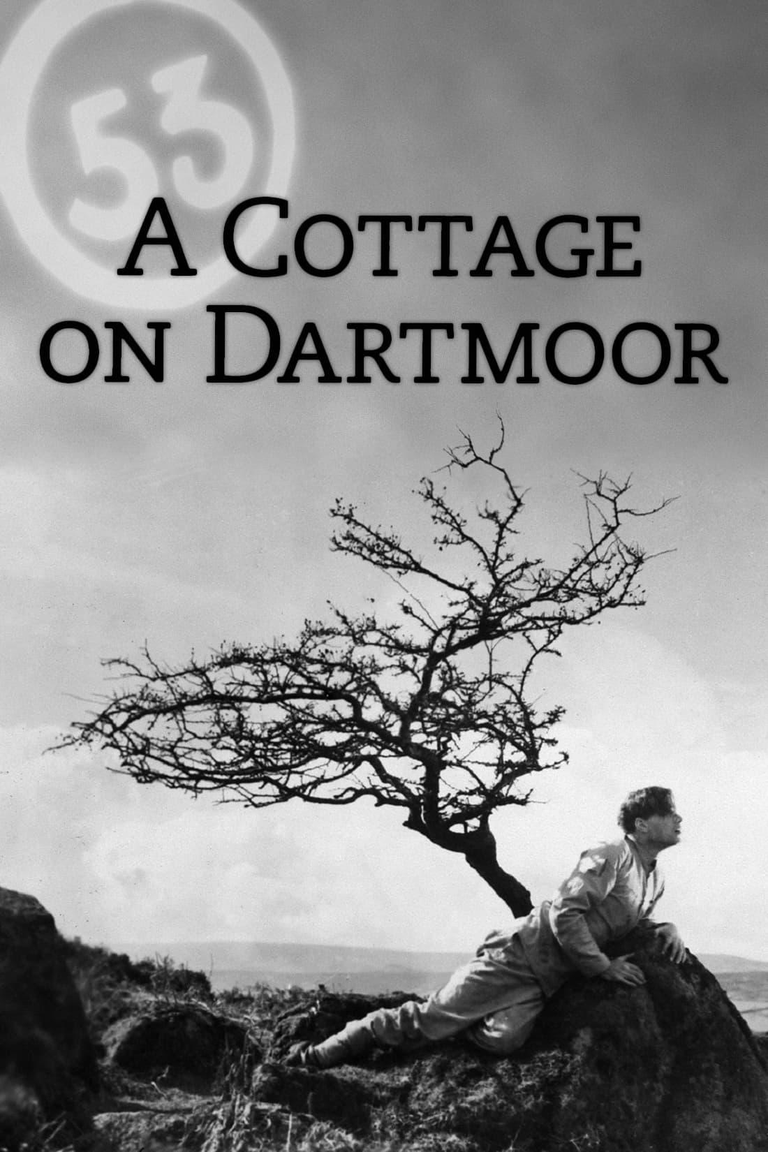 A Cottage on Dartmoor poster
