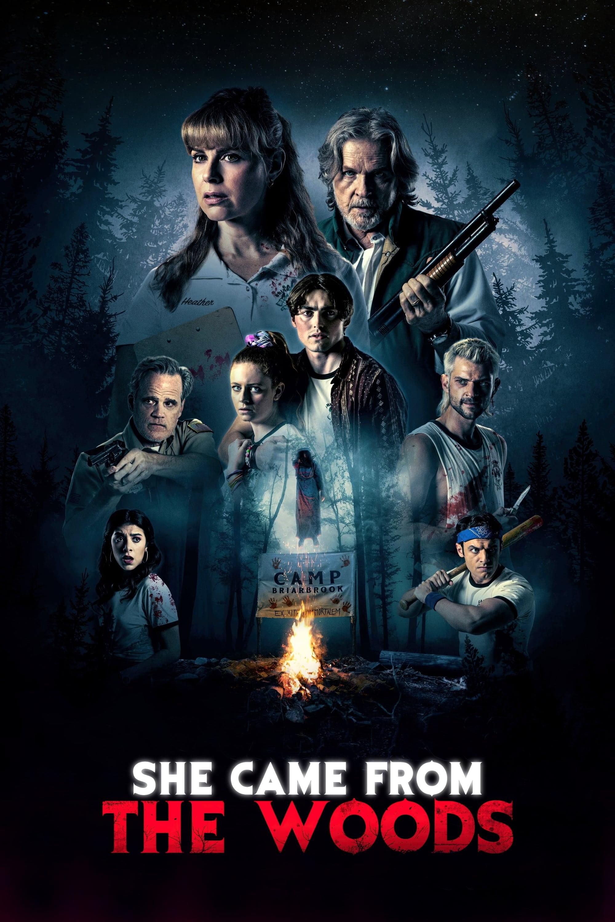 She Came From The Woods poster