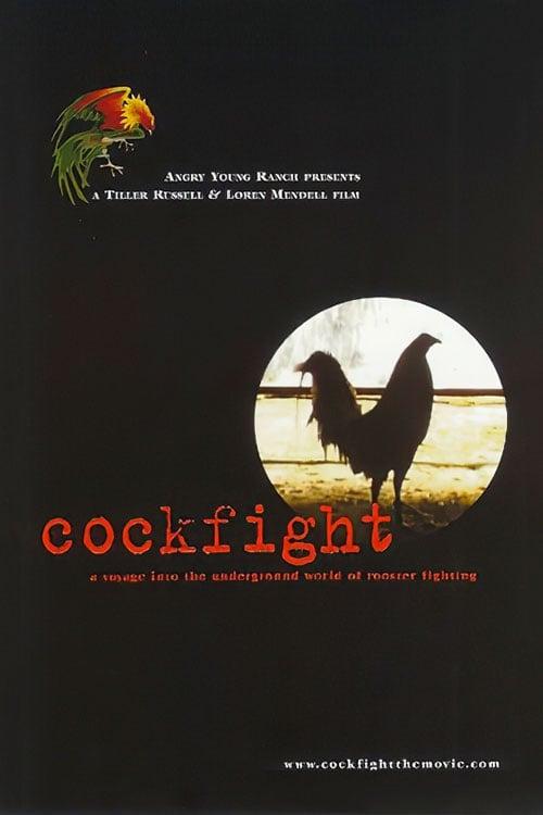 Cockfight poster