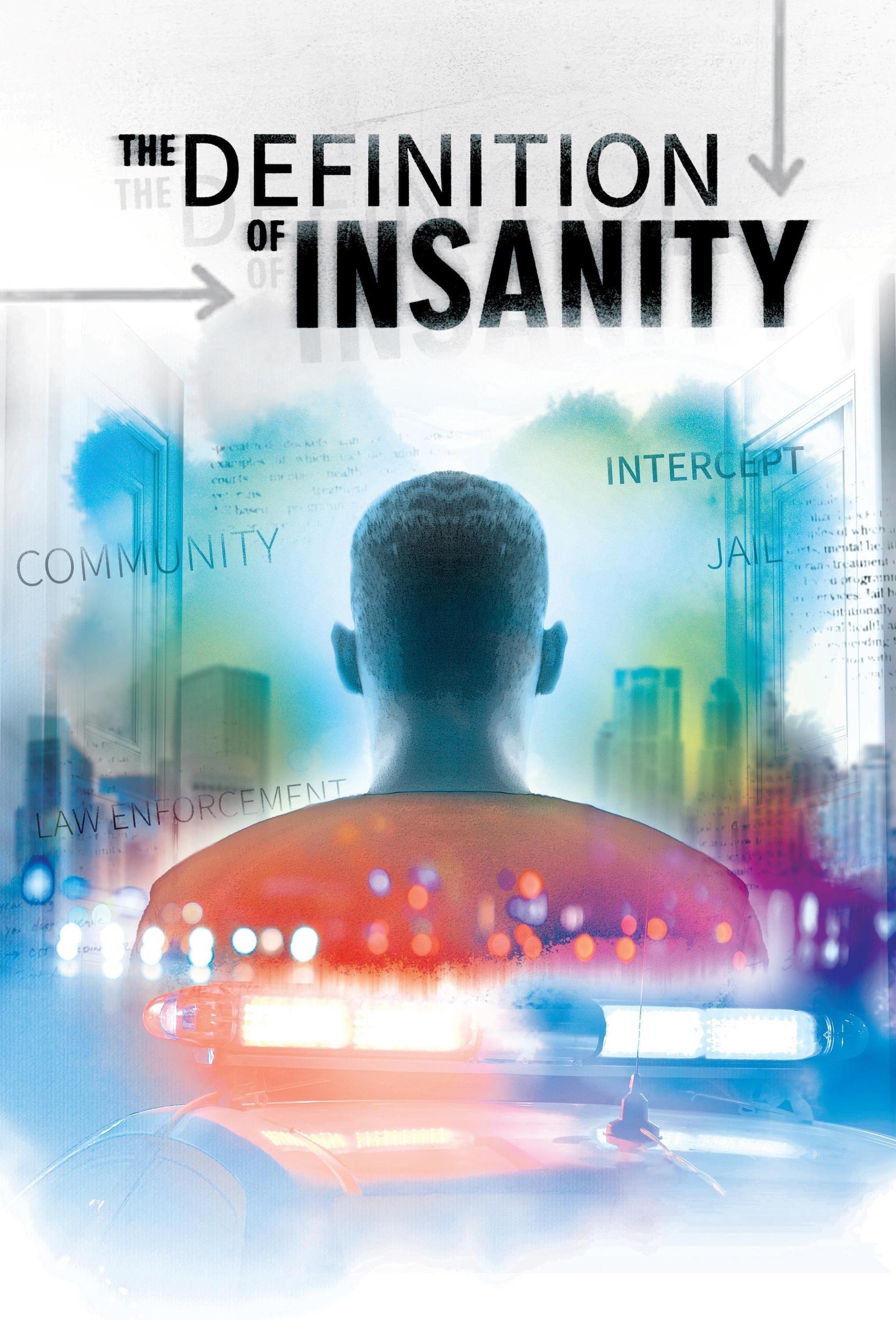 The Definition of Insanity poster