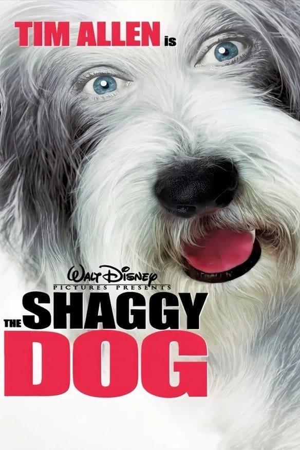 Shaggy Dog - Hör mal, wer da bellt poster