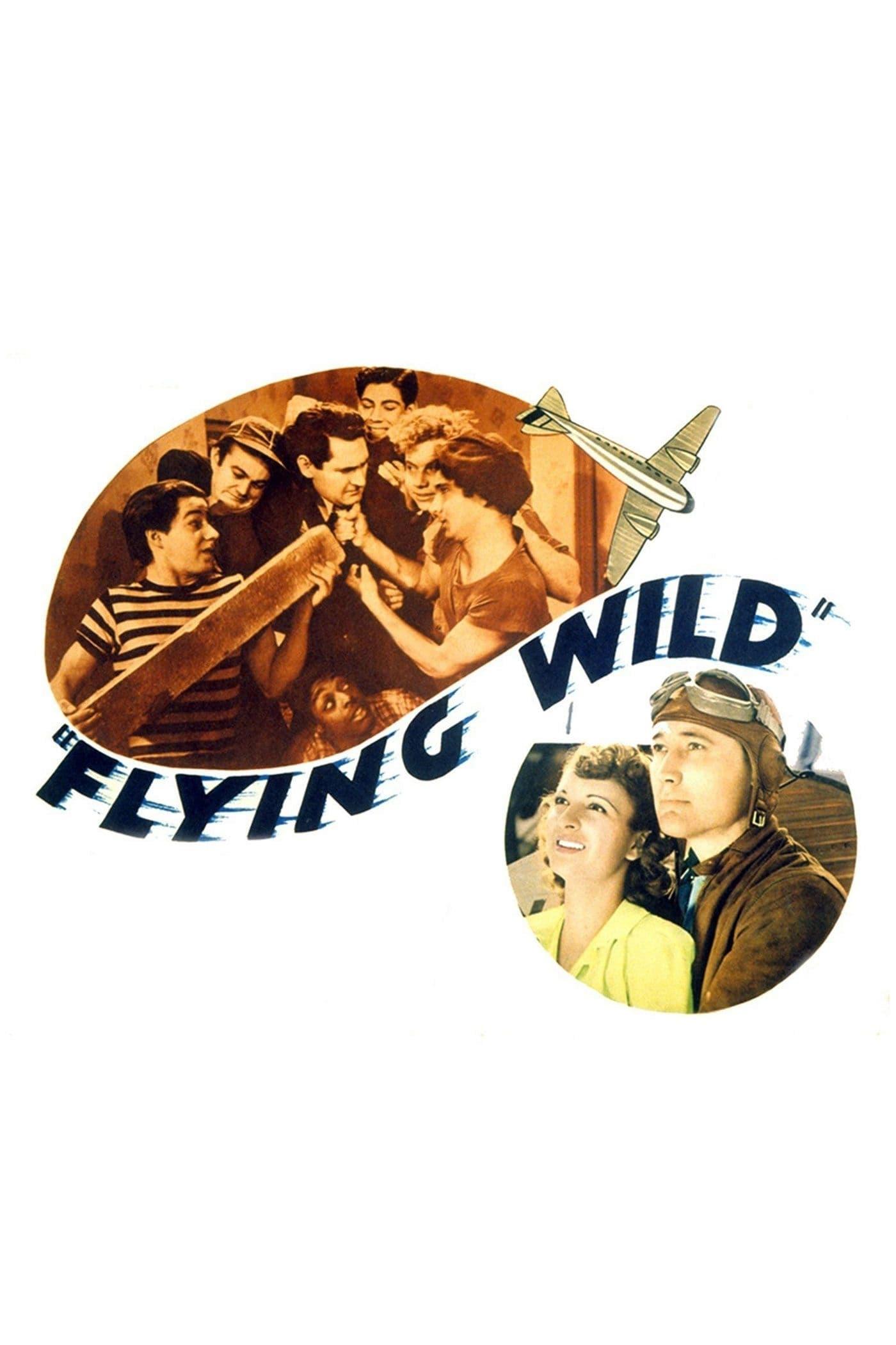 Flying Wild poster