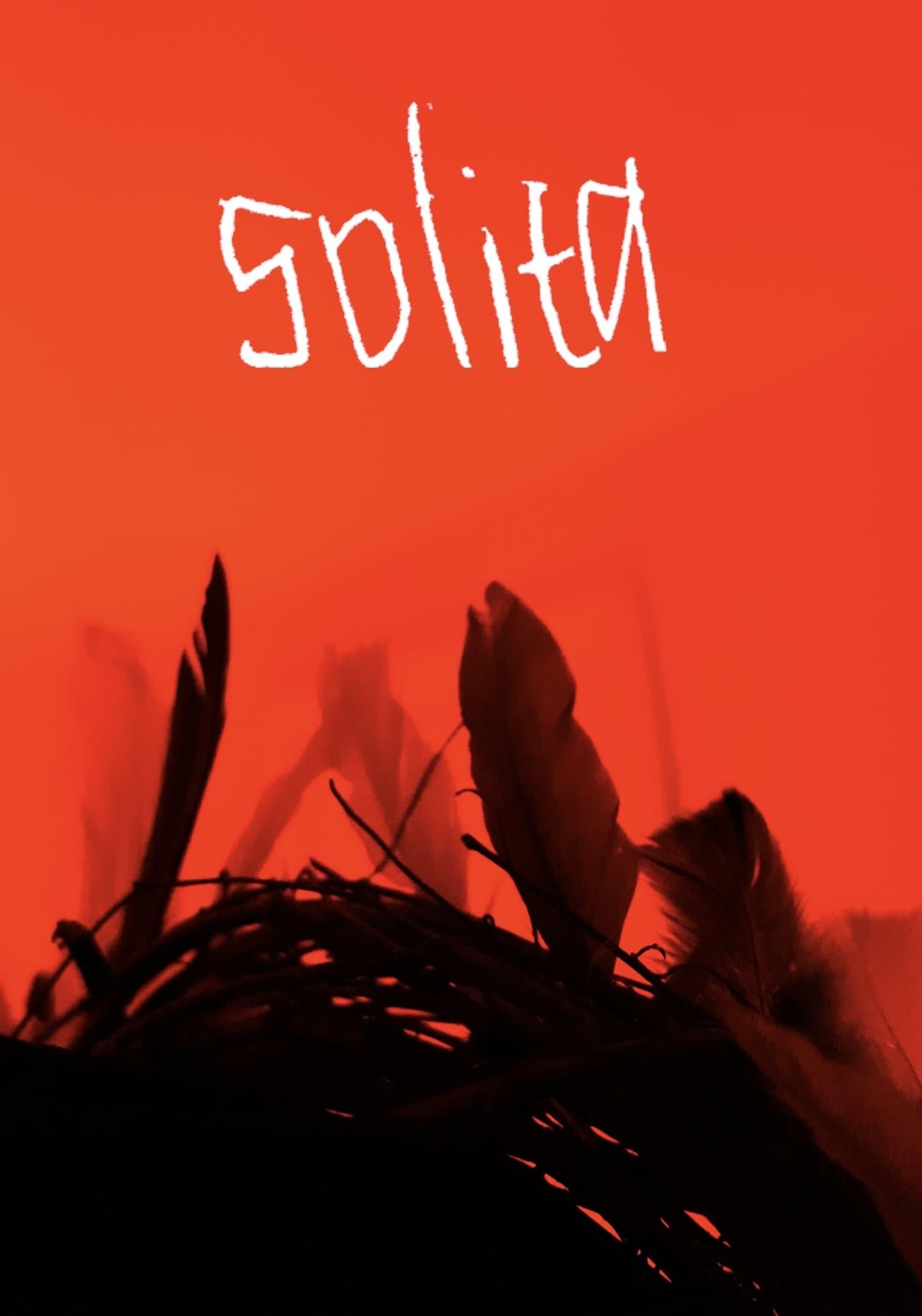 Solita poster
