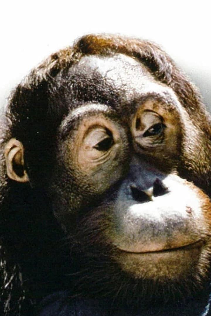 Manis | Orangutan (uncredited)