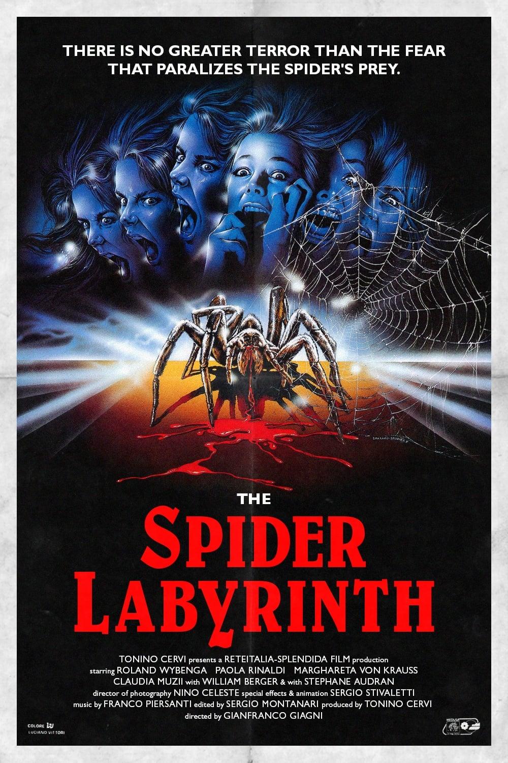 Spider Labyrinth - In den Fängen der Todestarantel poster