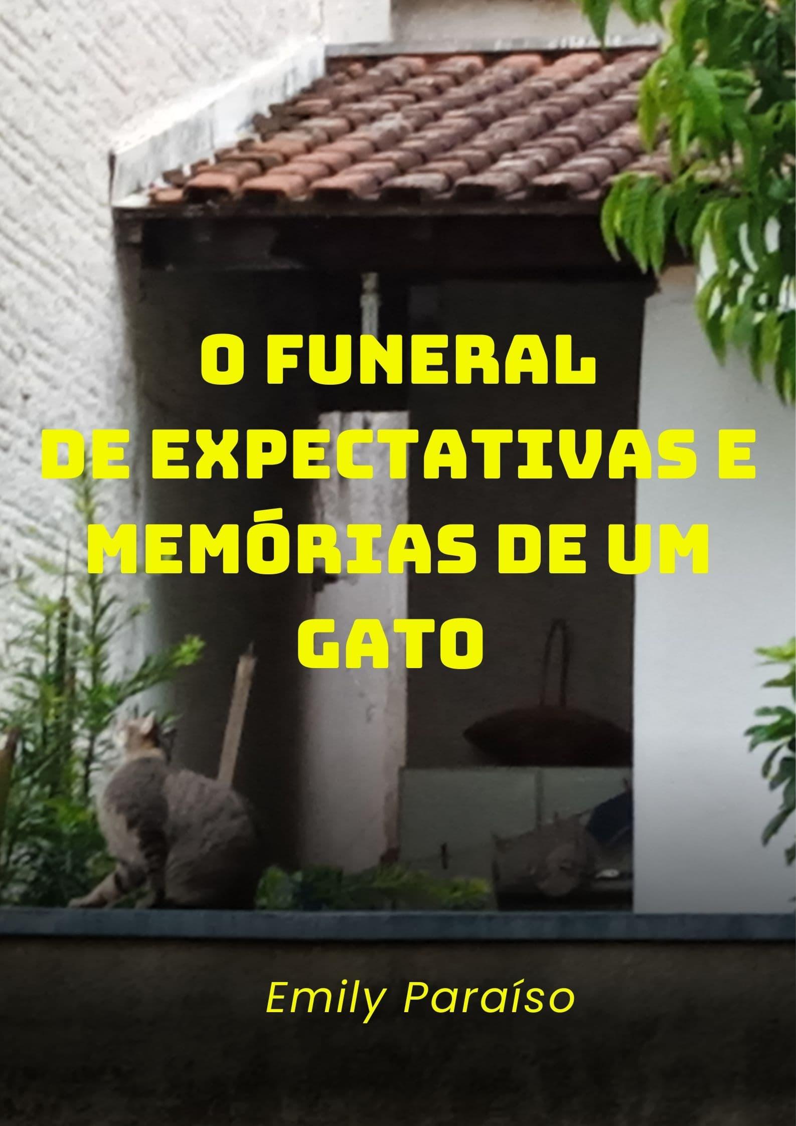 O funeral de expectativas e memórias de um gato poster