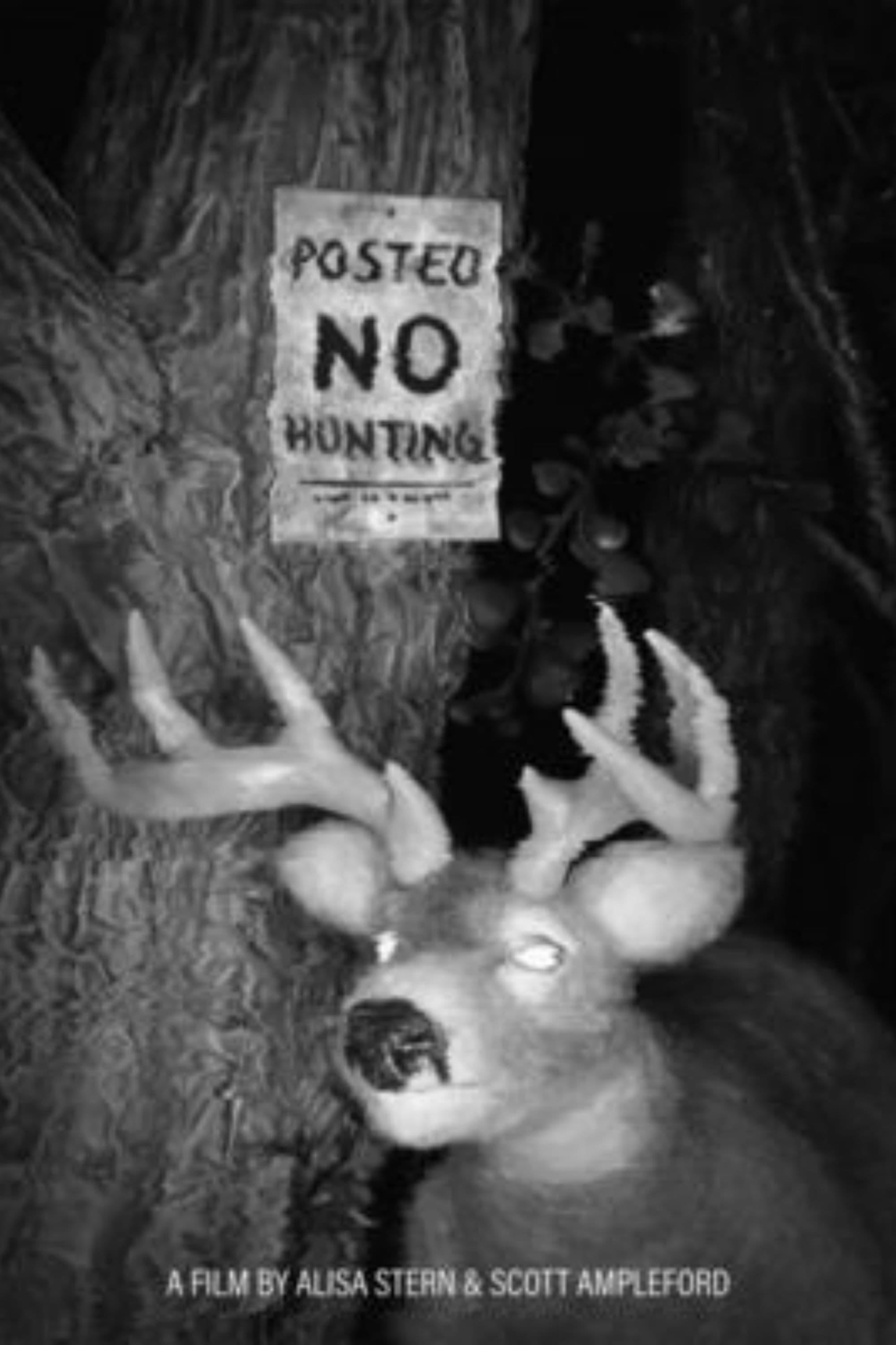 Posted No Hunting poster
