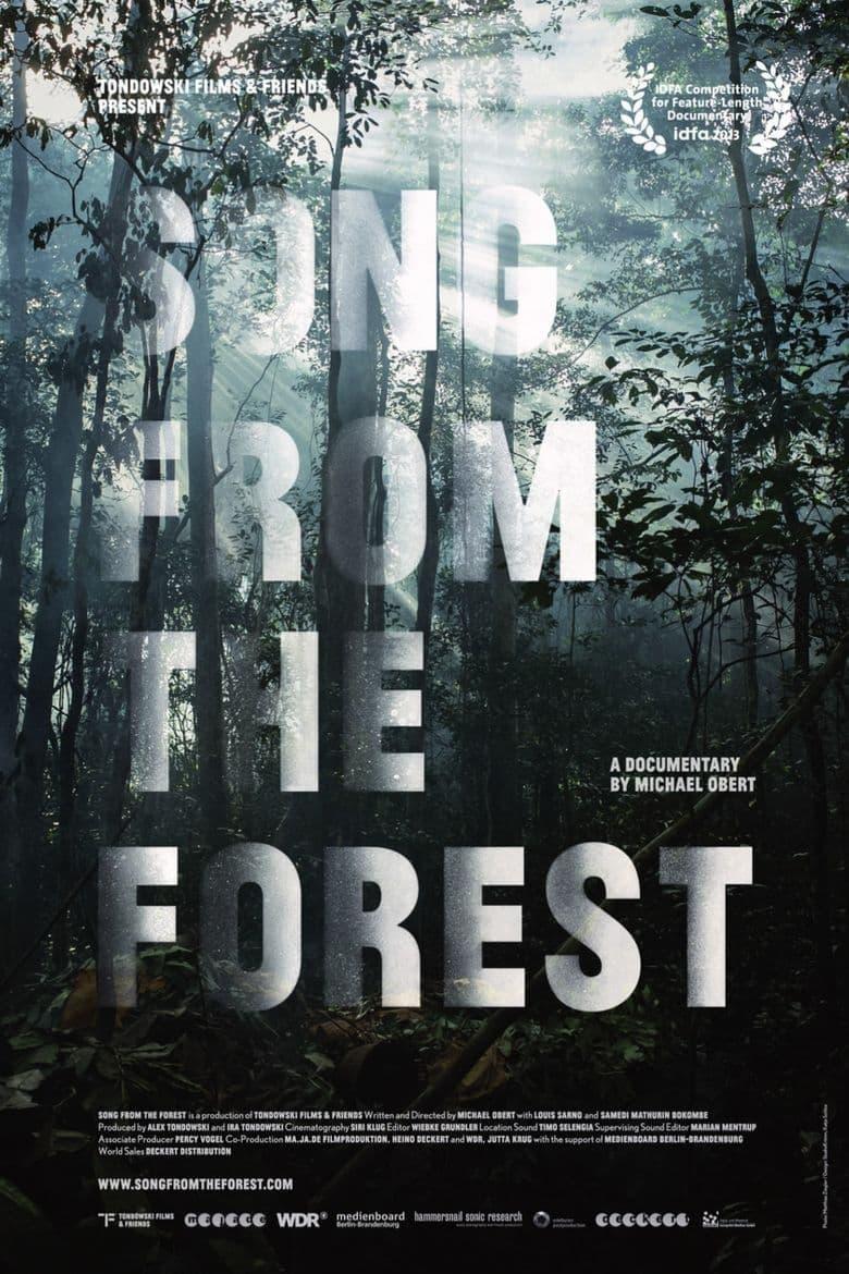 Song from the Forest poster