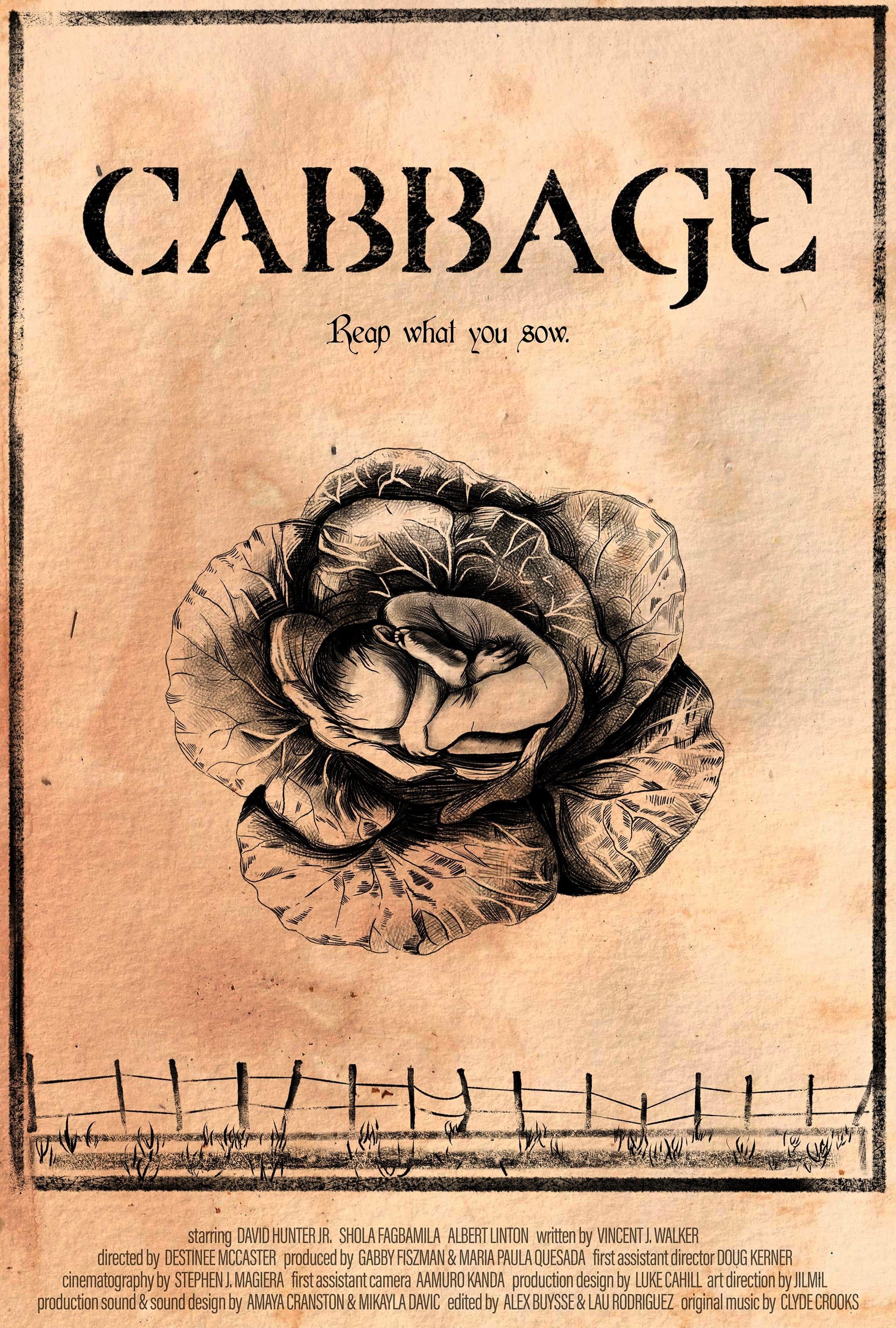 Cabbage poster