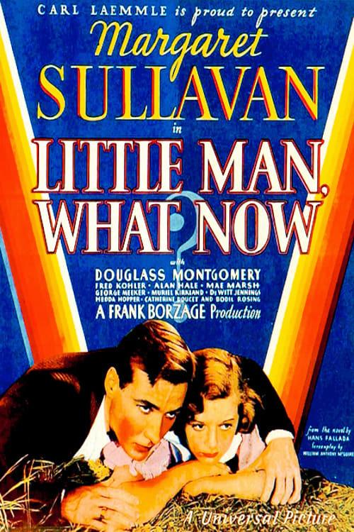 Little Man, What Now? poster