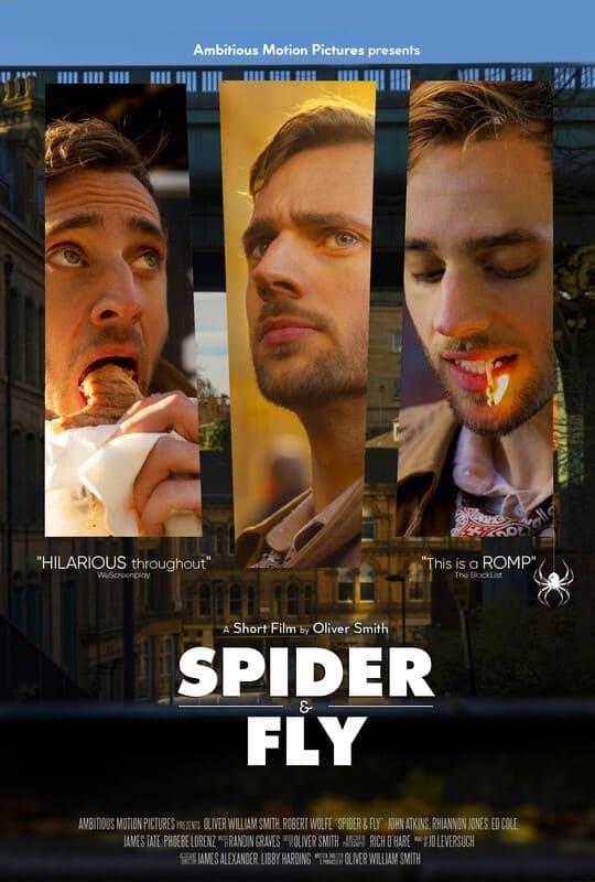 Spider & Fly poster