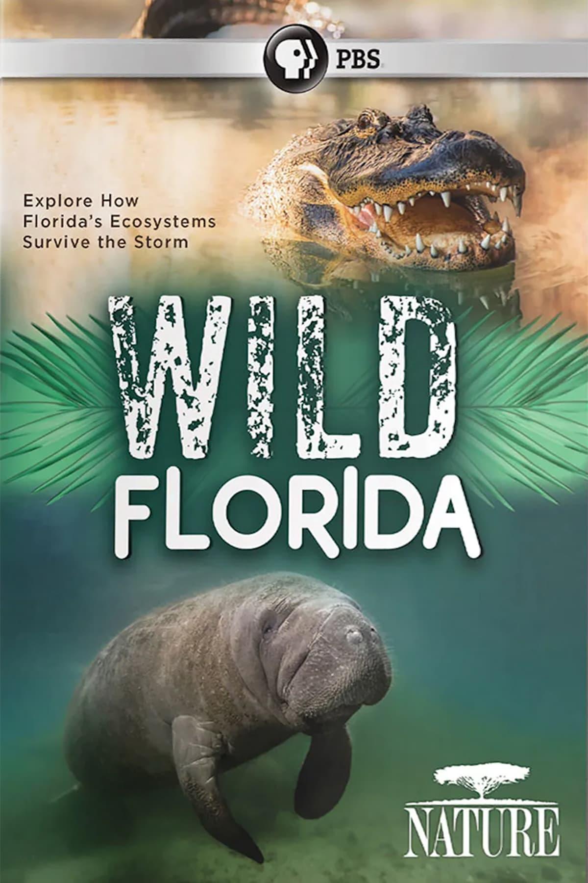 Wild Florida poster