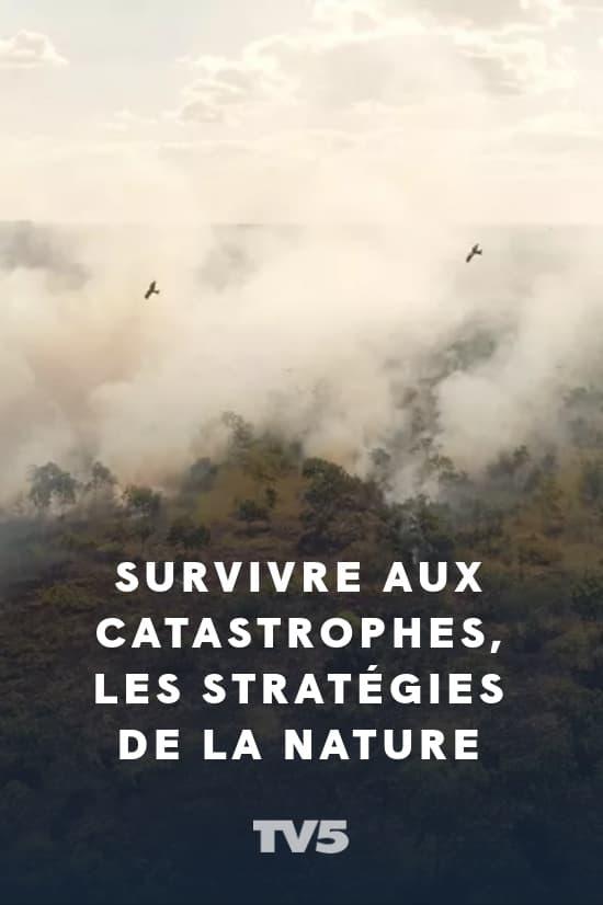 Survivre aux catastrophes, les stratégies de la nature poster