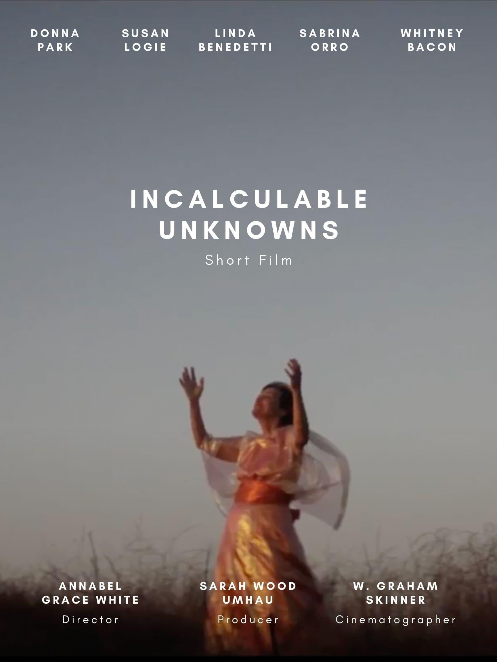 Incalculable Unknowns poster
