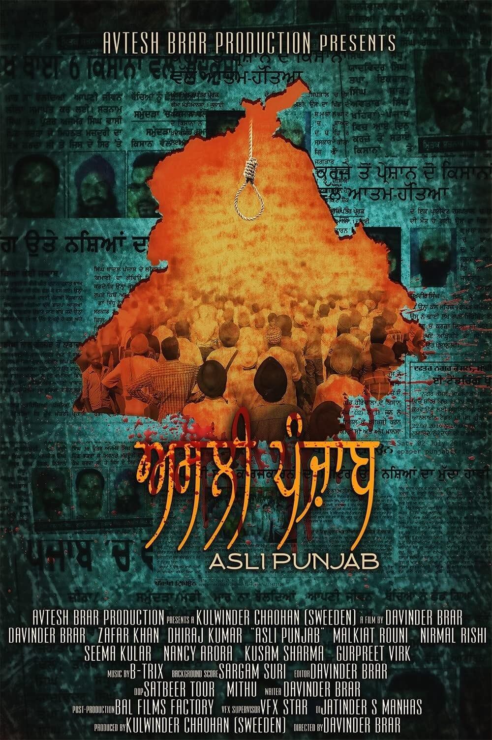 Asli Punjab poster