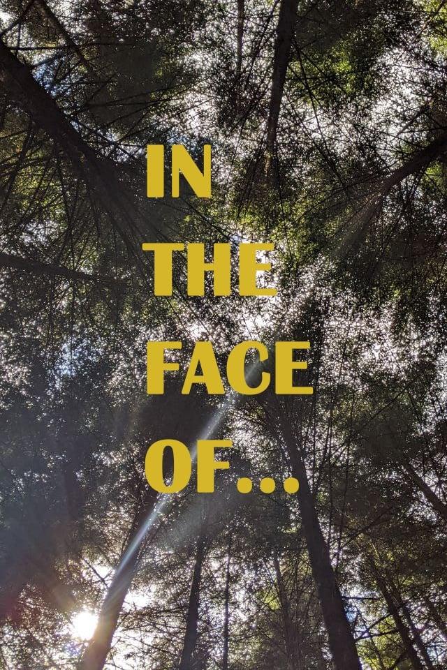In the face of... poster