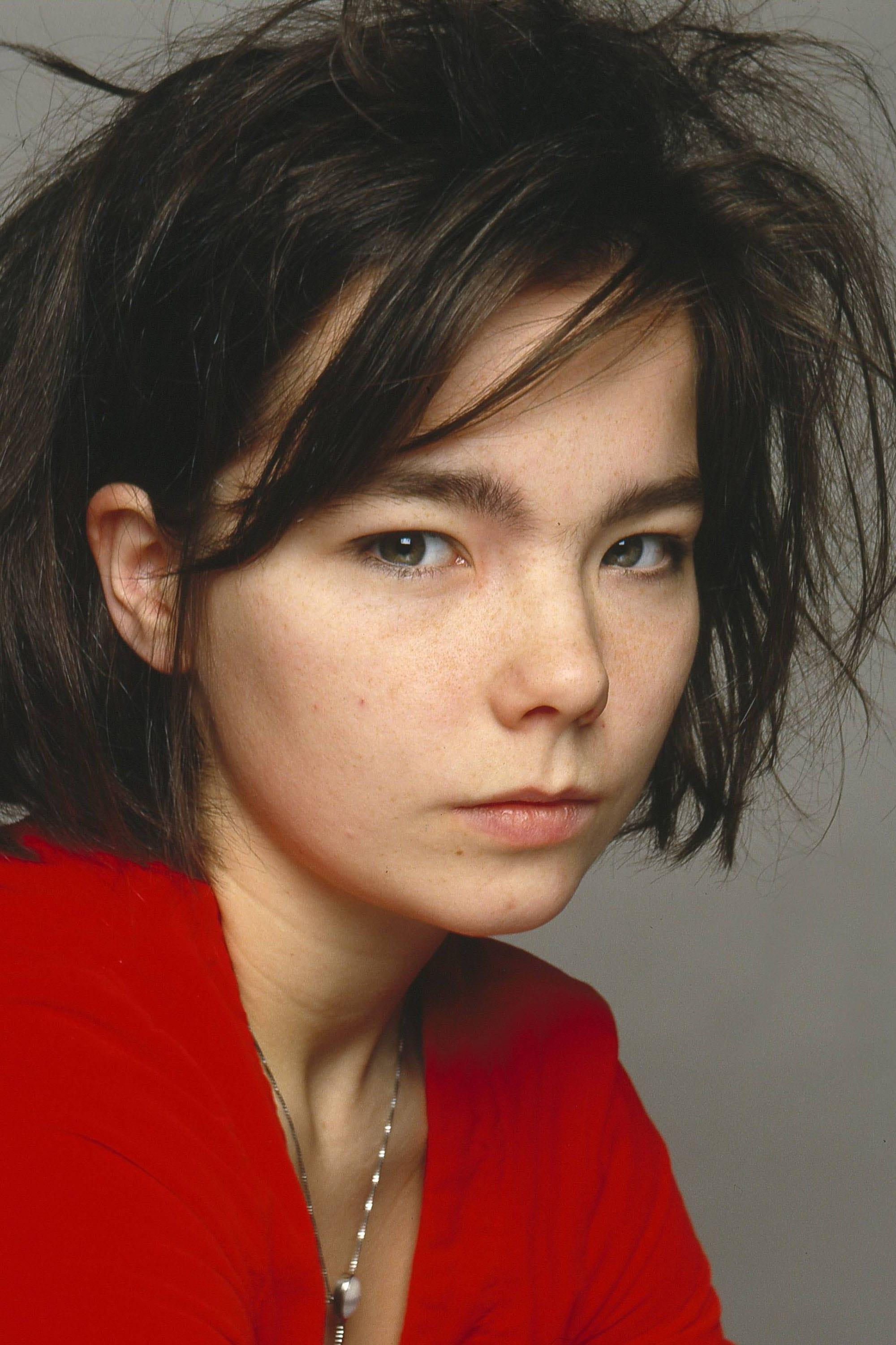 Björk | Music Producer
