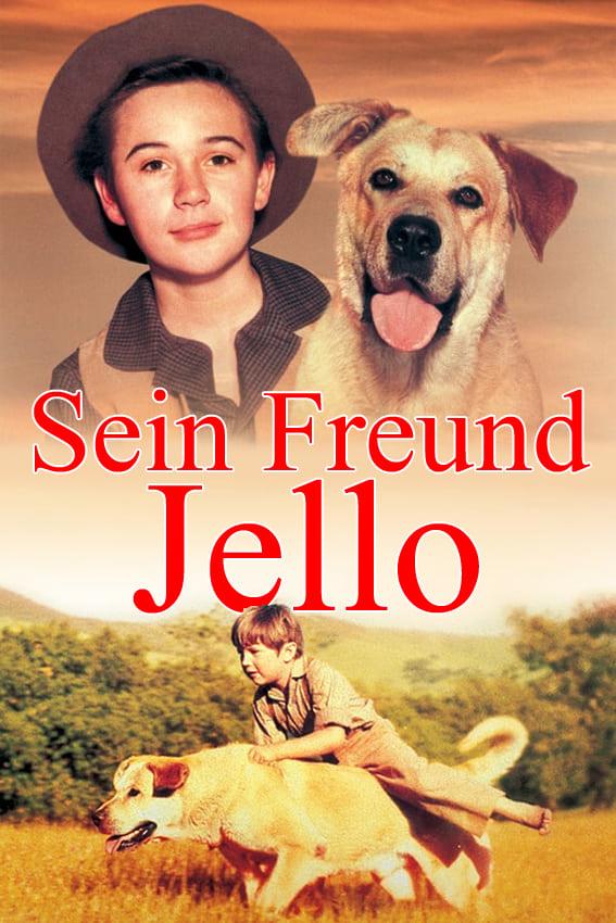 Sein Freund Jello poster