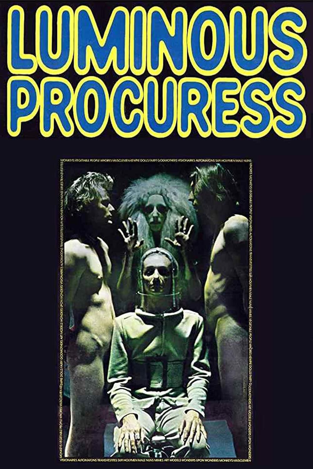 Luminous Procuress poster