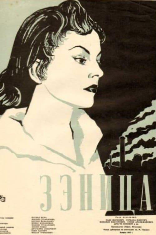 Zenica poster