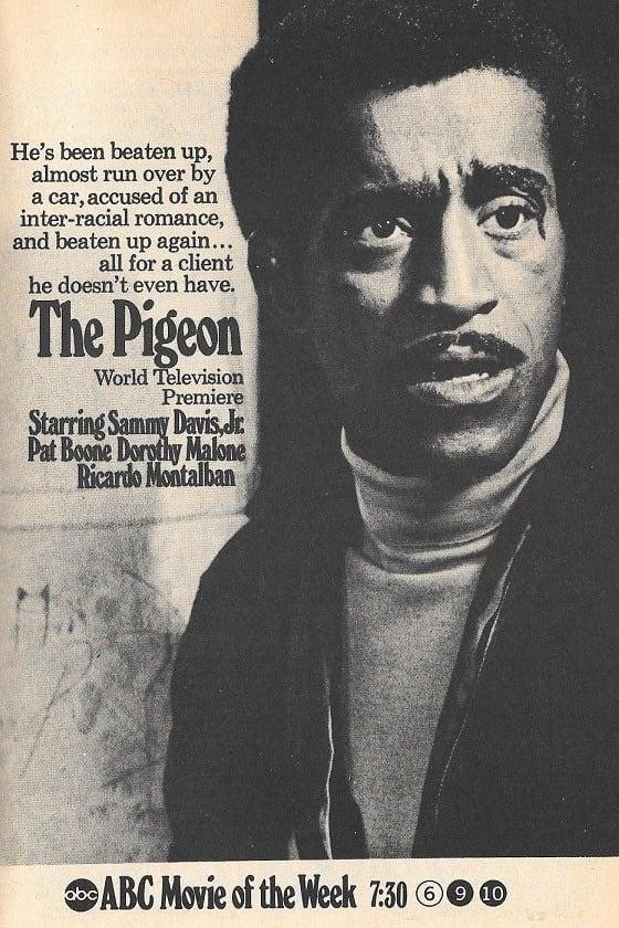 The Pigeon poster