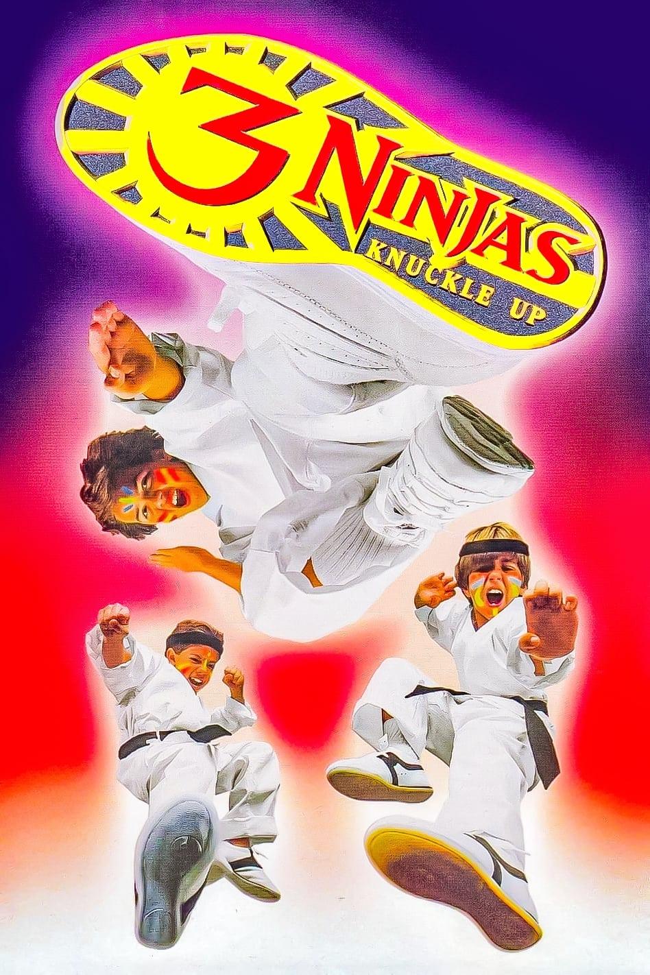 3 Ninjas Fight & Fury poster