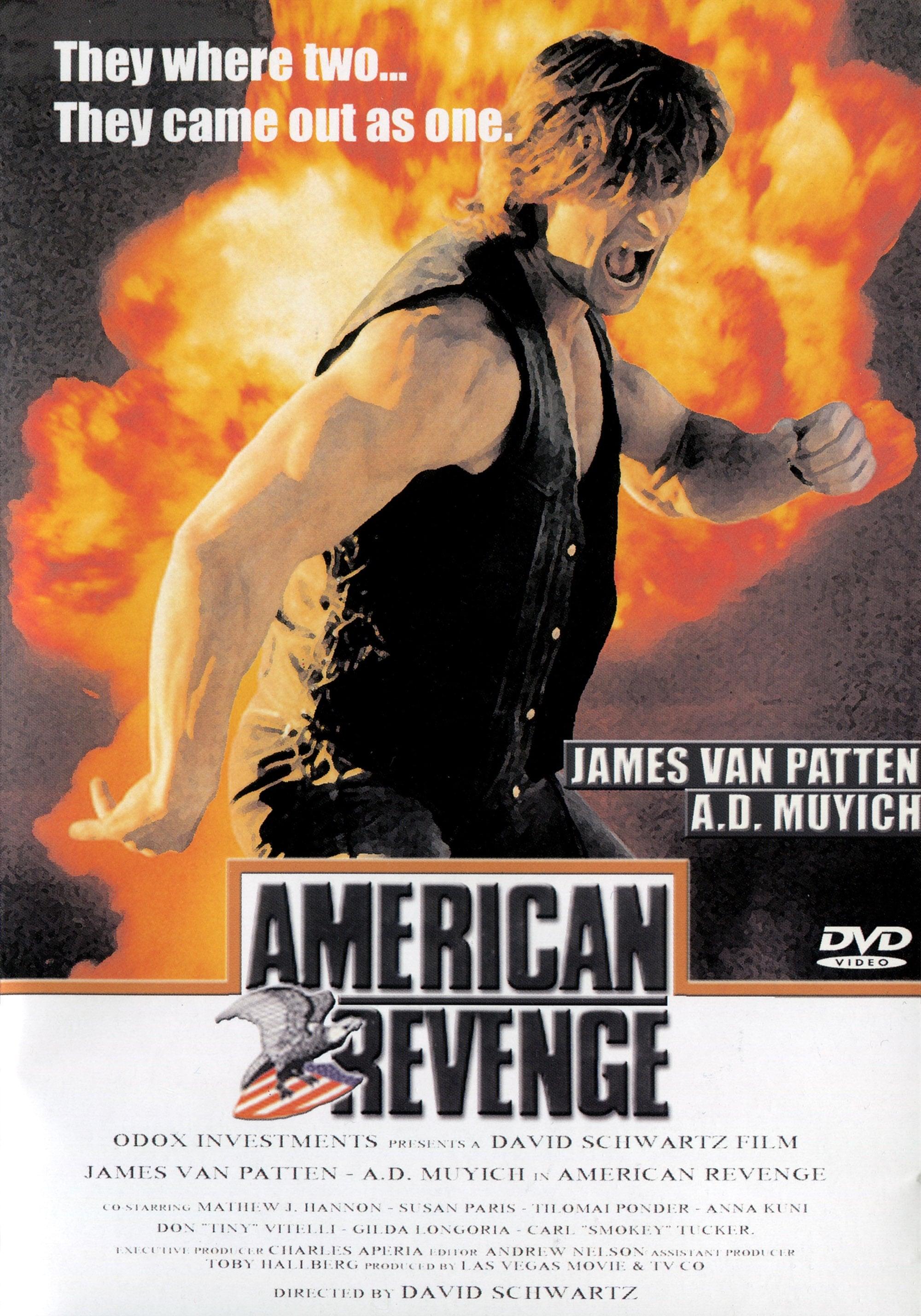American Revenge poster