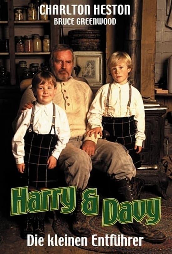 Harry & Davy - Die kleinen Entführer poster