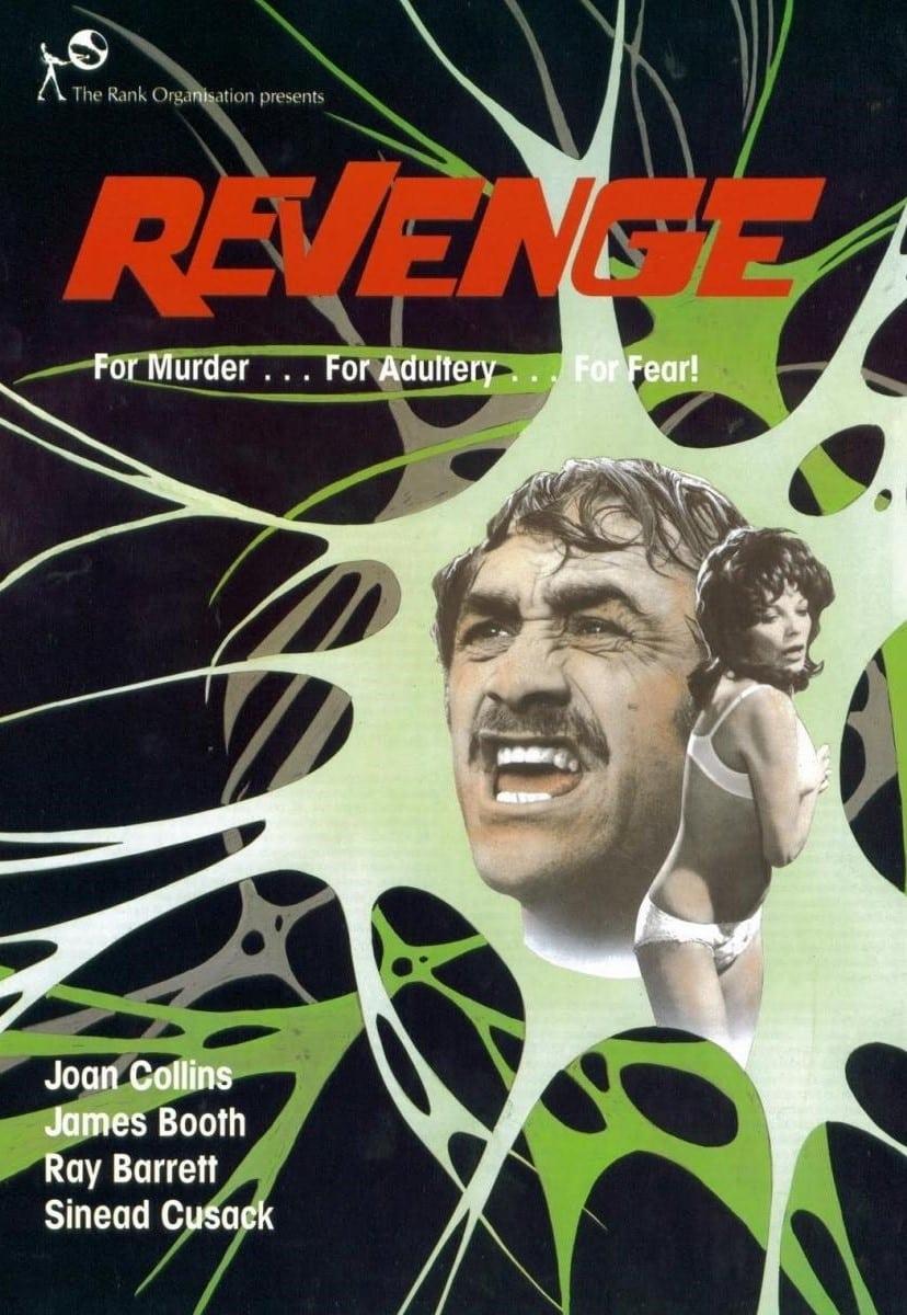 Revenge – Eine gefährliche Affäre poster