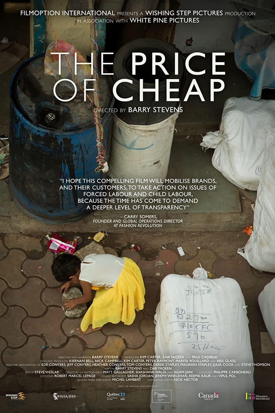 The Price of Cheap poster