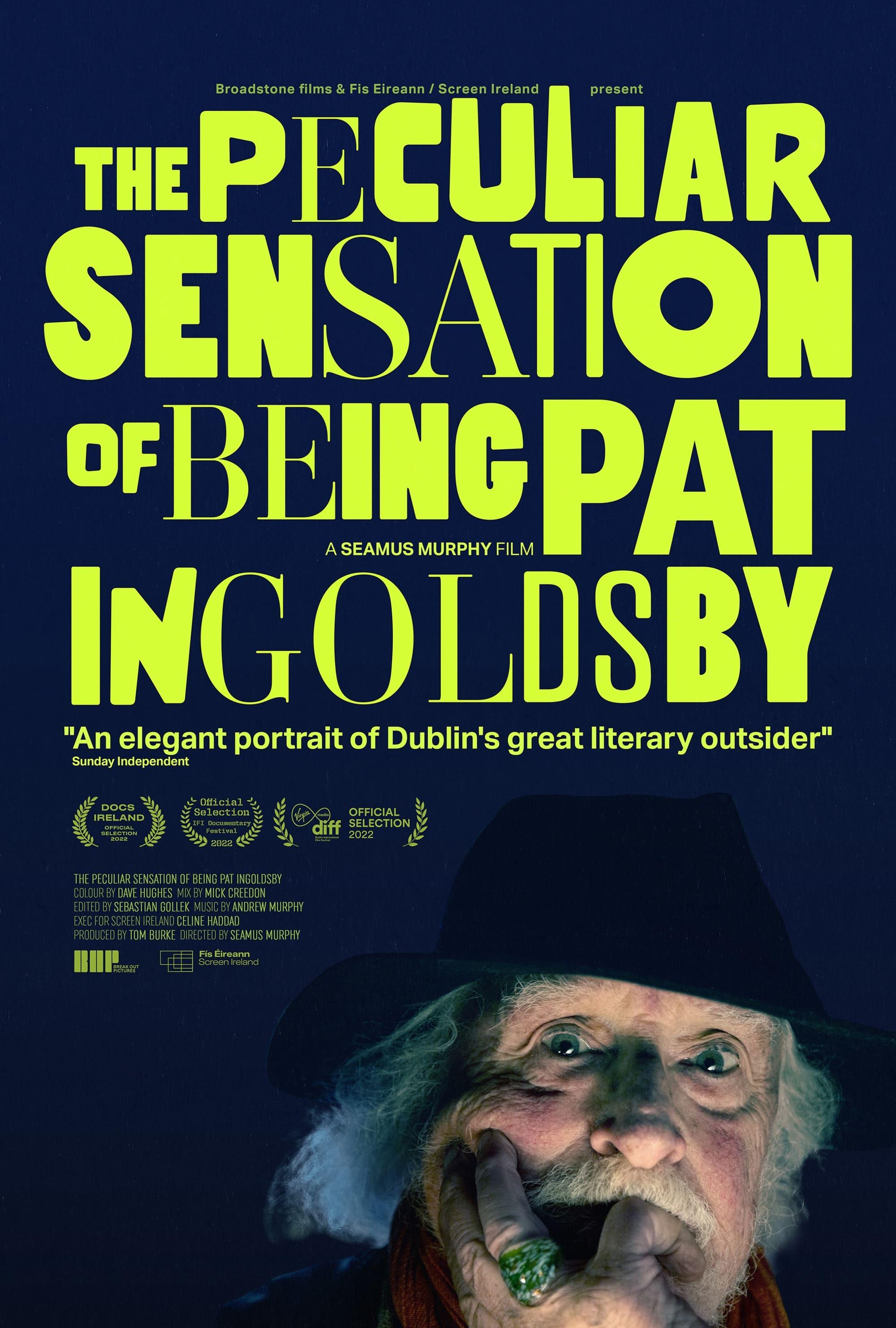 The Peculiar Sensation of Being Pat Ingoldsby poster