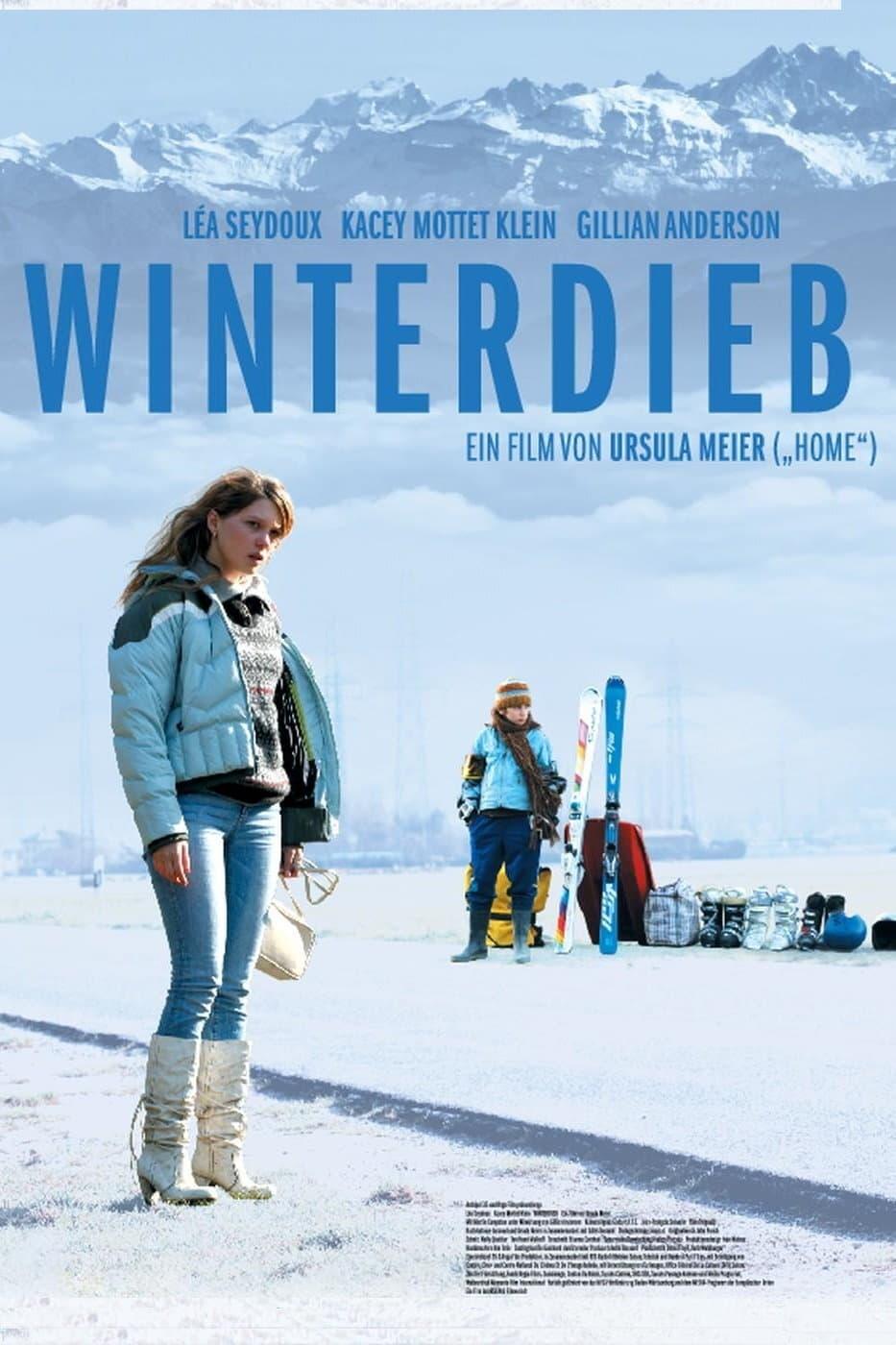 Winterdieb poster