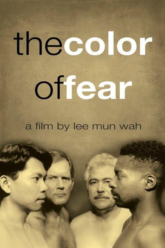 The Color of Fear poster