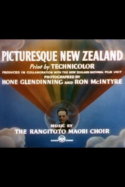Picturesque New Zealand poster