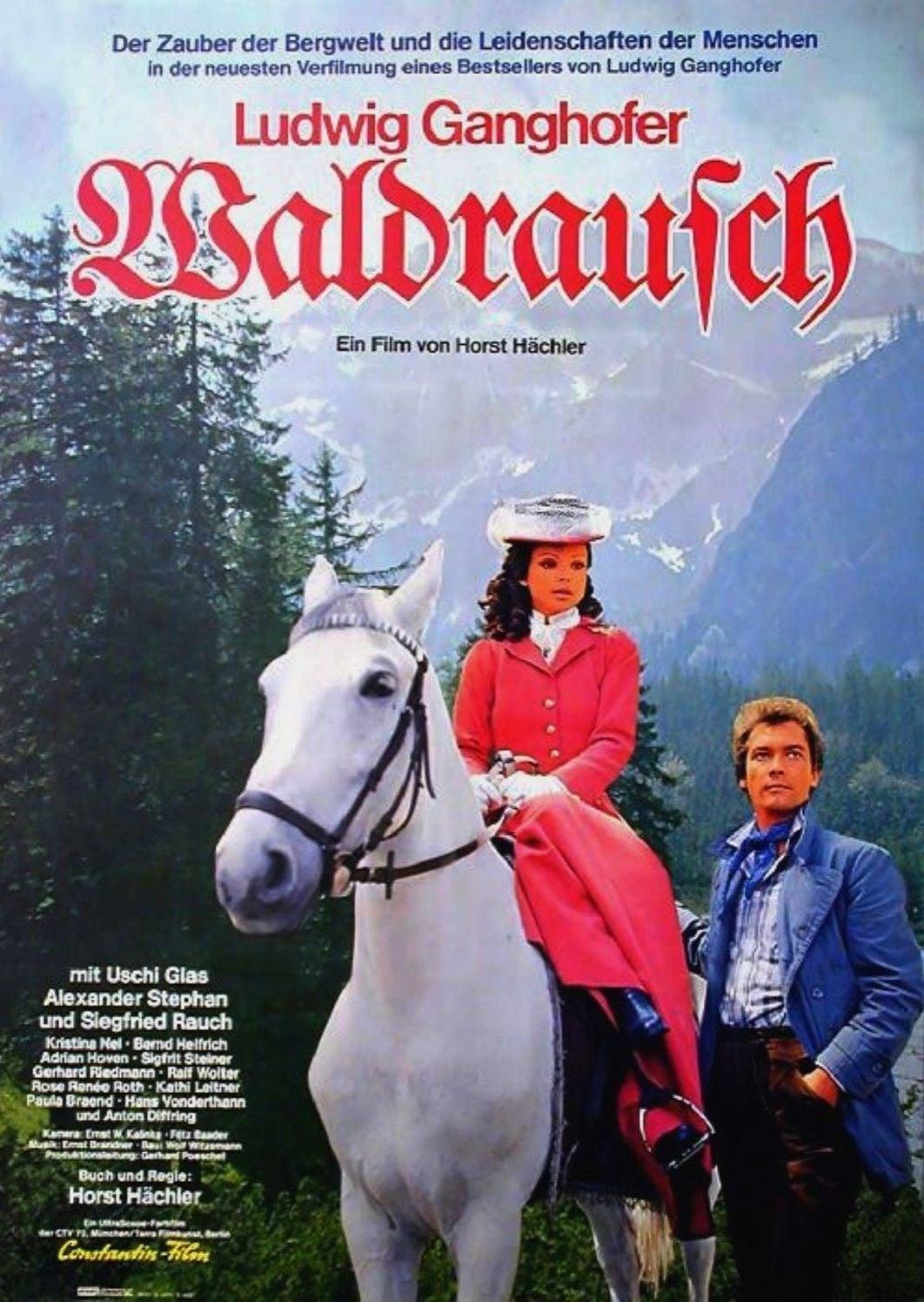 Waldrausch poster