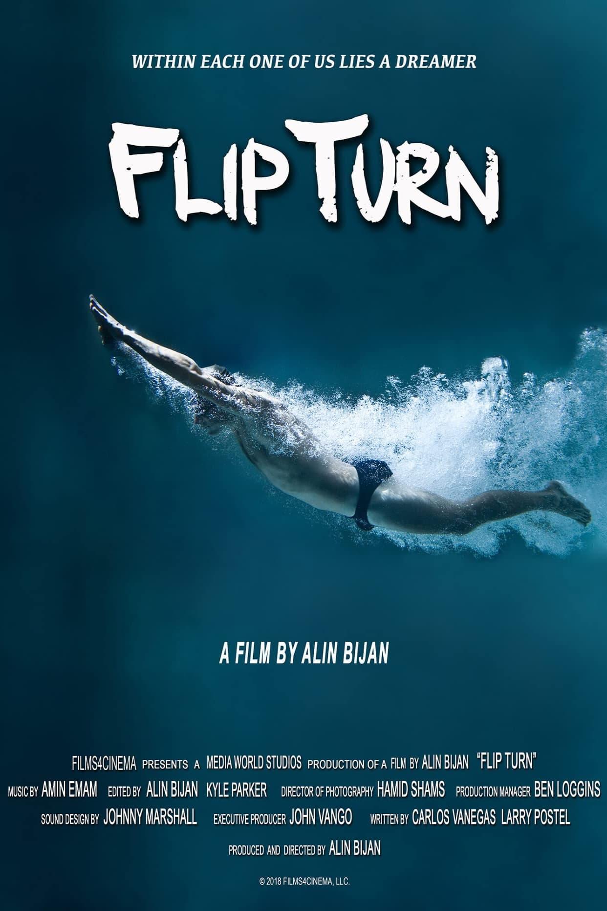 Flip Turn poster
