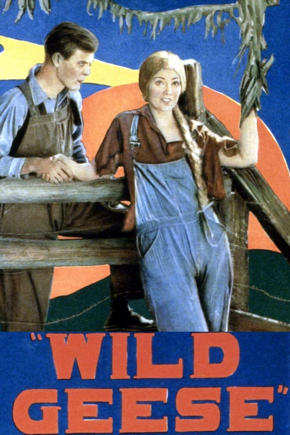 Wild Geese poster