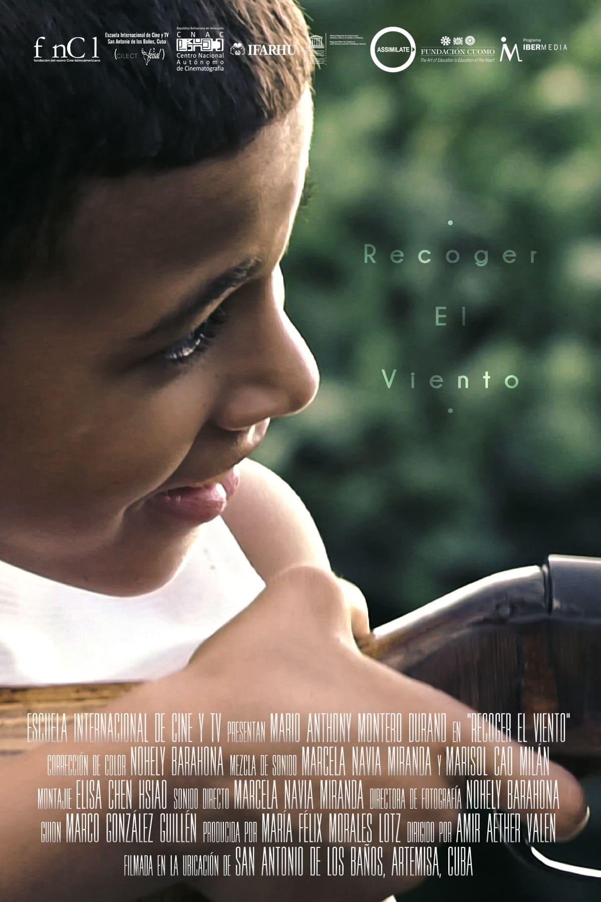 Recoger El Viento poster