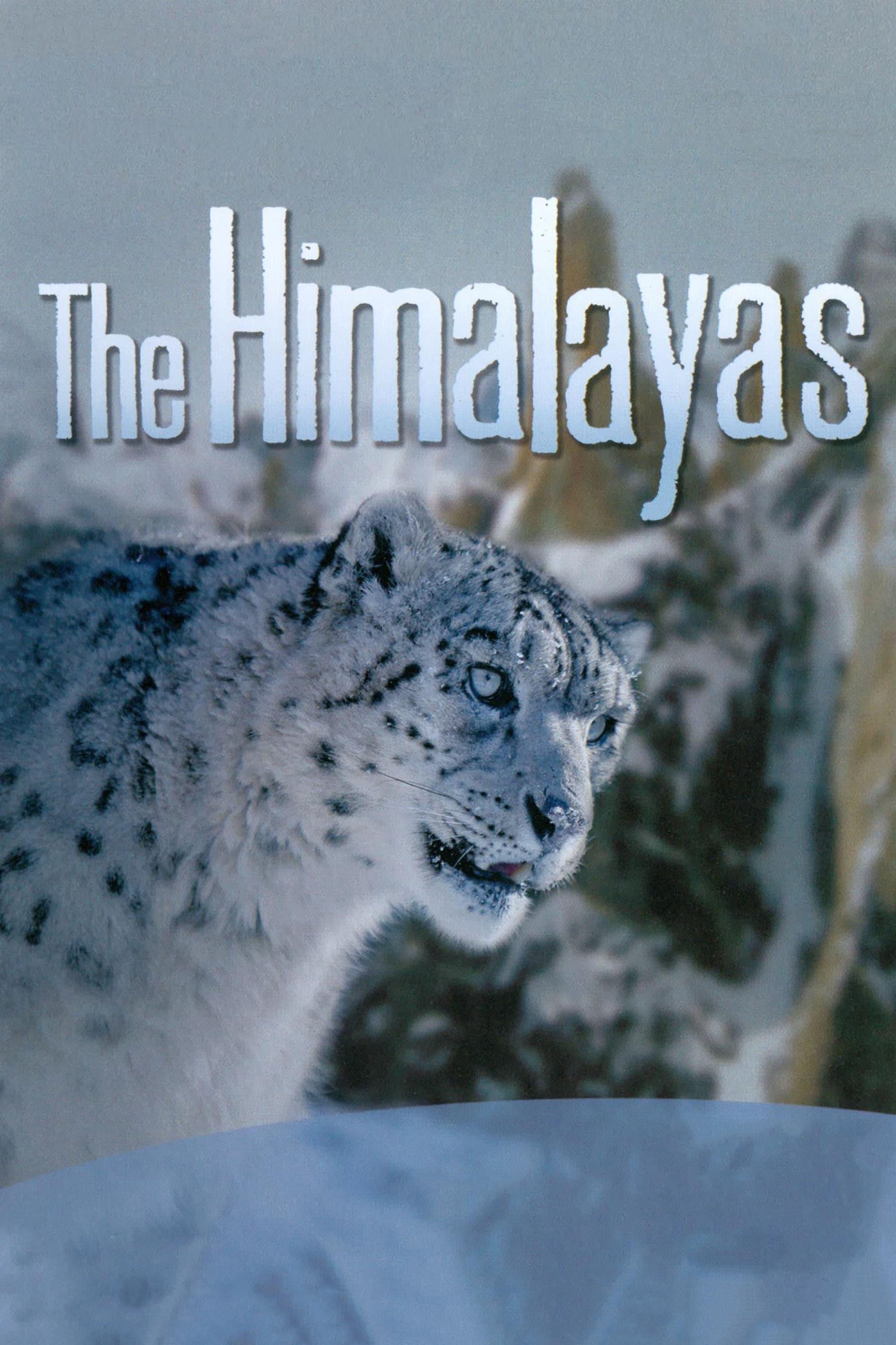 The Himalayas poster